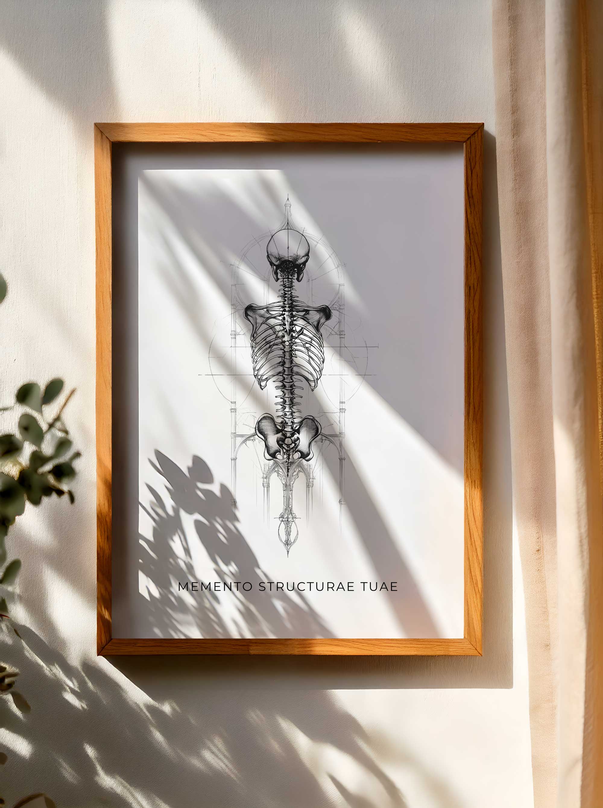 Memento Structurae Tuae – artystyczny plakat anatomiczny (A1-A4)